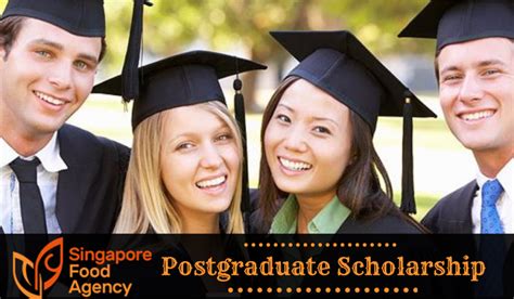 Postgraduate Scholarships in Singapore: A Comprehensive Guide