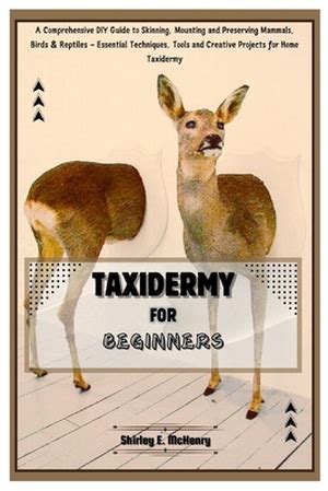Postsecondary Training Programs in Taxidermy: A Comprehensive Guide to Preserving the Past