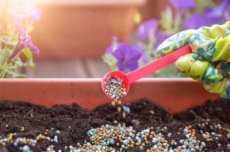 Pot Fertilizer Flowering