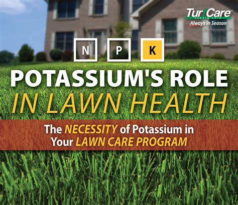 Potassium Lawn Fertilizer: The Key to a Greener, Healthier Lawn