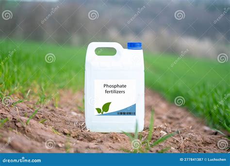 Potassium Phosphate Fertilizer: The Essential Nutrient for Thriving Crops