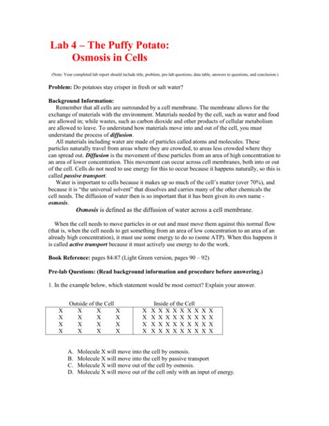 Potato Cell Lab Report Sheet Answers Doc