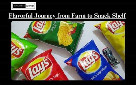 Potato Chip Odyssey: A Journey Through Singapore's Flavorful Delights