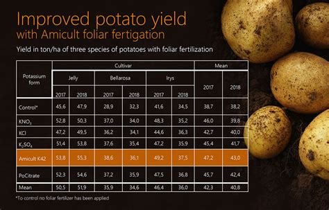 Potatoes Fertilizer: The Ultimate Guide to Maximize Your Spud Yield