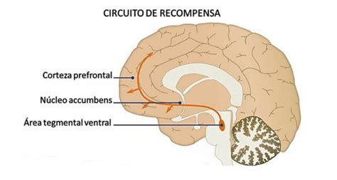 Potencial de Alta Recompensa: