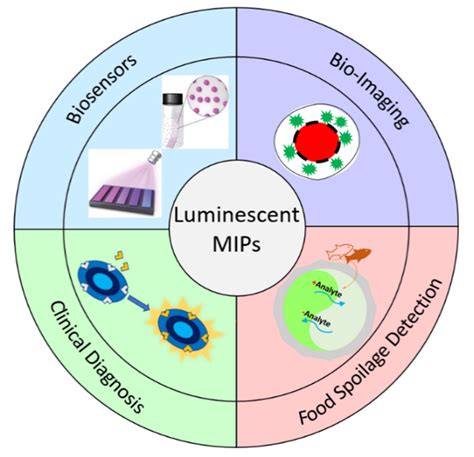 Potential Applications of Luminescent Stone: