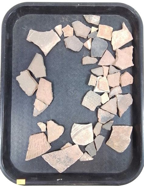 Pottery shards: