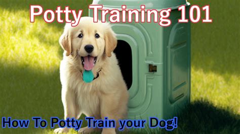 Potty Training 101: A Step-by-Step Guide for Dog Owners