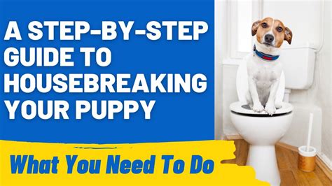 Potty Training Your 8-Week-Old Puppy: A Comprehensive Guide to Housebreaking Success