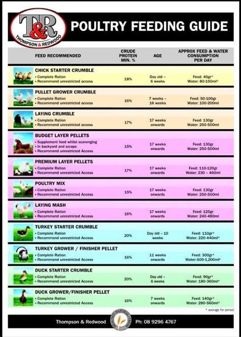 Poultry Feed Equipment: A Comprehensive Guide