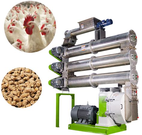 Poultry Feed Making Machine: A Comprehensive Guide for Efficient Production