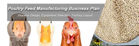 Poultry Feed Production Machine: The 7-Step Guide to Start Your Own Business