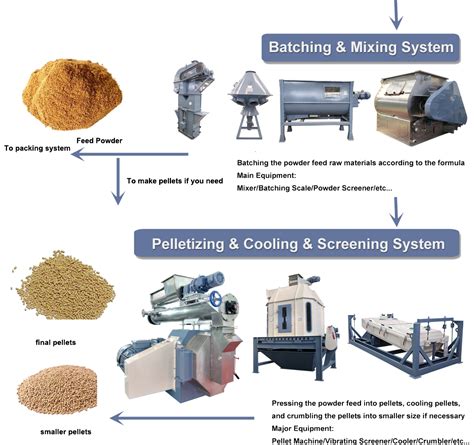 Poultry Feed Production Revolution: Introducing the Cutting-Edge 2025 Plus Line