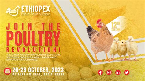 Poultry Manure: Unleashing the 10,000-Ton Opportunity