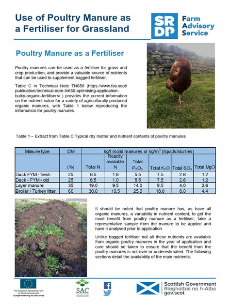 Poultry Manure Fertilizer: A 360-Degree Guide