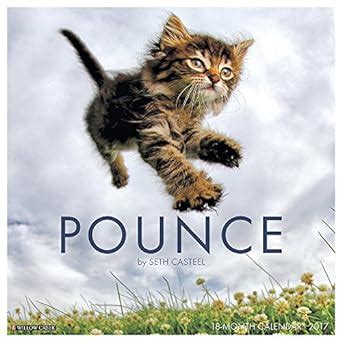 Pounce 2017 Wall Calendar Reader