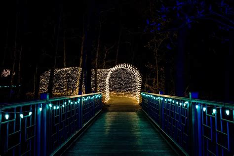 Powell Gardens Festival of Lights: A 2023-2024 Guide to the Magical Extravaganza