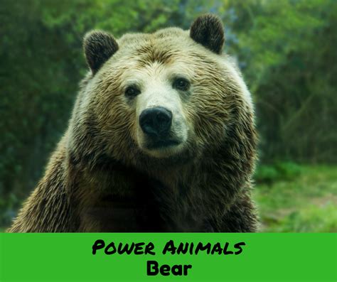 Power Animals Epub