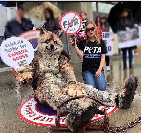 Power Midget PETA: Unleashing a Force for Animal Liberation