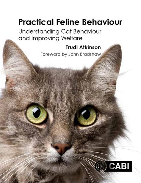 Practical Feline Behaviour Understanding Cat Behaviour and Improving Welfare Epub