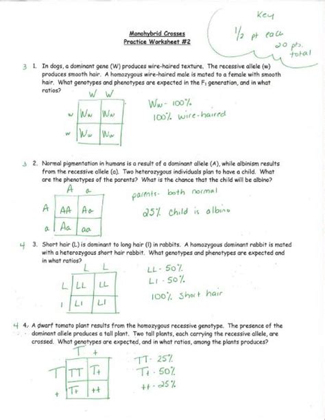 Practice Genetics Problems Monohybrid Crosses Answers PDF