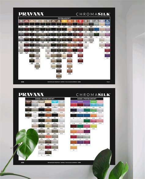 Pravana Color Chart Book