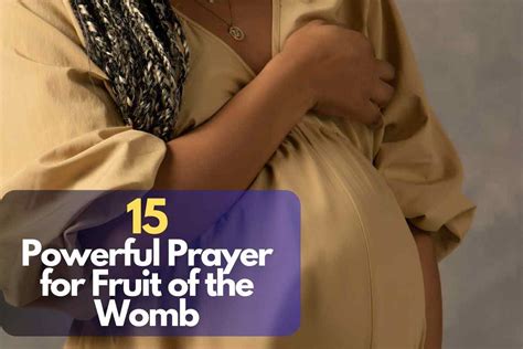 Prayers for the Womb - Sapphire Leadership Group,  PDF Reader