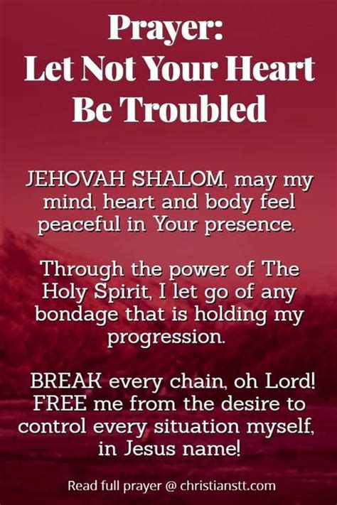 Prayers from a Troubled Heart PDF