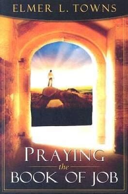 Praying the Book of Job Praying the Scriptures Kindle Editon