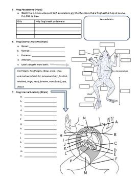 Pre Lab Dissection H In Answers PDF