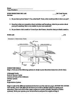 Pre Lab Observation Sheet Mink Dissection Answers PDF