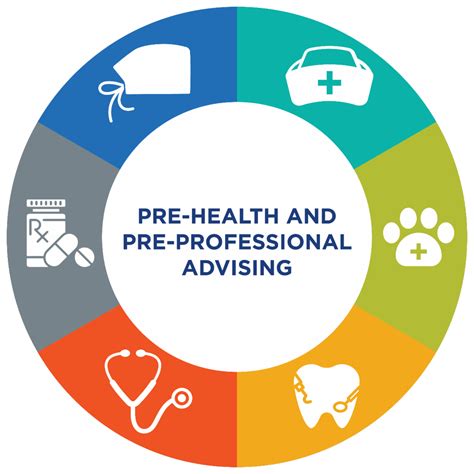 Pre-Professional Meaning: The Foundation for Success