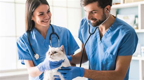 Pre-Veterinary Medicine Programs