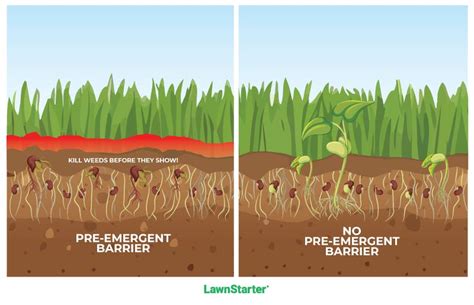 Pre-emergent herbicides: