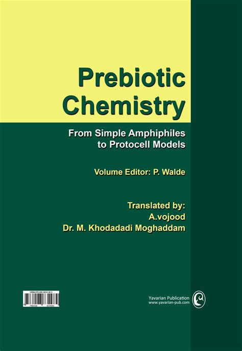 Prebiotic Chemistry From Simple Amphiphiles to Protocell Models 1st Edition Reader