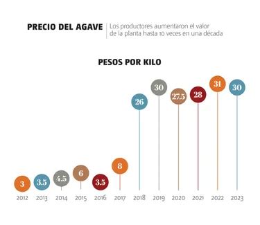 Precio del Agave para 2025: Pronóstico y Tendencias del Mercado