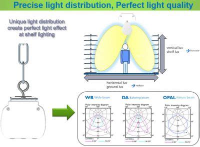 Precise Light Distribution: