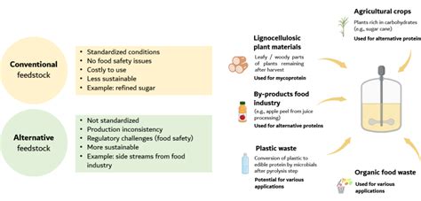 Precision fermentation: