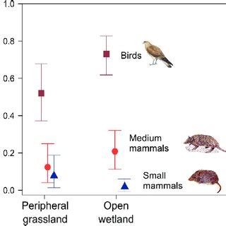 Predator Groups: