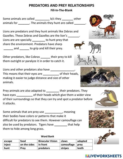 Predator Prey Relationship Worksheet Answers PDF