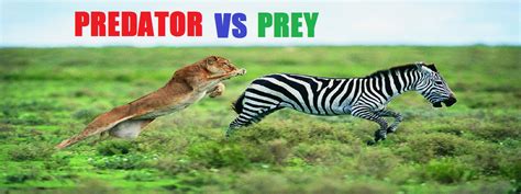 Predator Vs Prey Epub