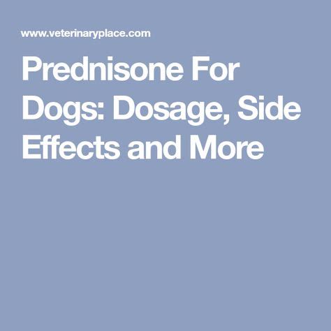 Prednisone for Dogs: Dosage Guide & Treatment Strategies