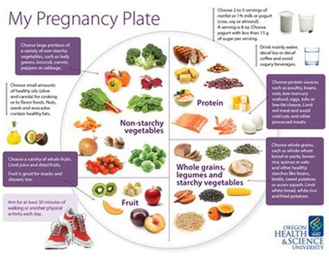Pregnancy Diet The Complete Healthy Diet Guide and Nutritious Meal Plan for First Time Mothers Doc