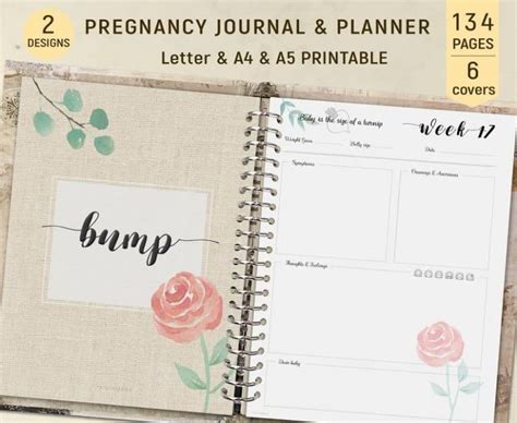 Pregnancy Journal Guide Day To Day for Moms PDF