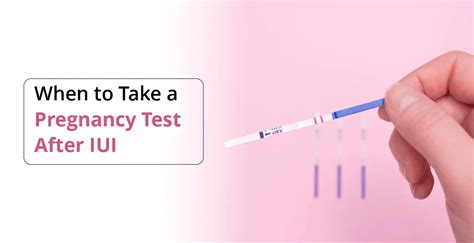 Pregnancy Test on Due Date of Period: When to Take and What to Expect