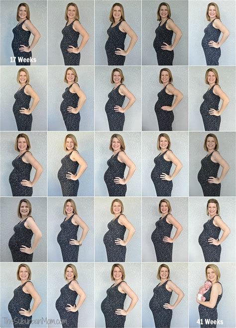 Pregnancy Week-by-Week Reader