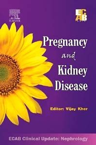 Pregnancy and Renal Disorders 1st Edition Epub