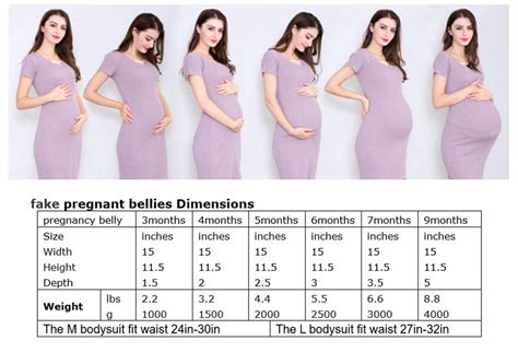Pregnant Belly Measurements Chart In Cm
