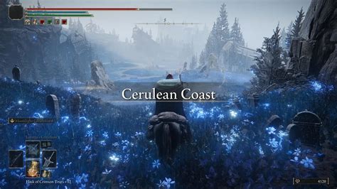 Prelude: Unveiling the Enchanting Shores of the Cerulean Coast