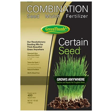 Premium Guide to Starter Fertilizer for Grass Seed: Green Thumb in 4 Steps